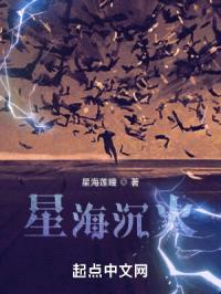 星海沉火封面