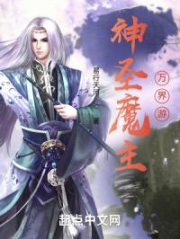 神圣魔主封面