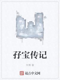 孖宝传记封面