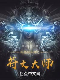 暗黑破坏神之符文大师封面