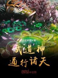 武道神通行诸天封面
