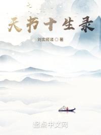 天书十生录封面