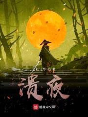 溃夜封面
