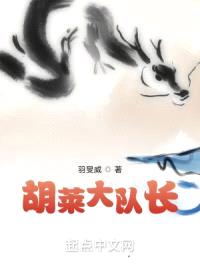 胡莱大队长封面