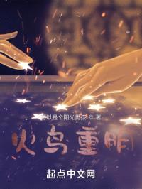 火鸟重明封面