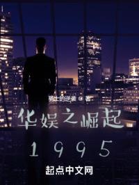 华娱之崛起1995封面
