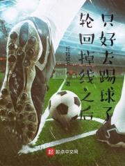轮回掉线之后只好去踢球了封面