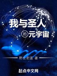 我与圣人的元宇宙封面