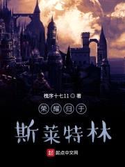 荣耀归于斯莱特林封面