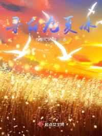 寻白九夏冰封面