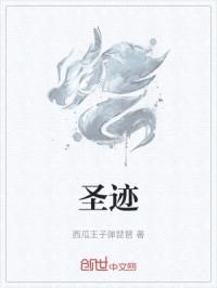圣迹封面
