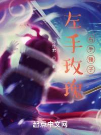 左手玫瑰，右手锤子封面