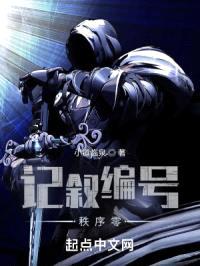 记叙编号：秩序零封面
