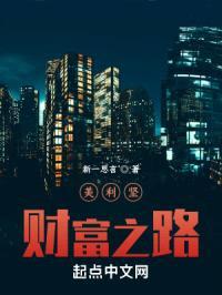 美利坚财富之路封面