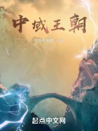 中域王朝封面