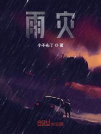 雨灾封面