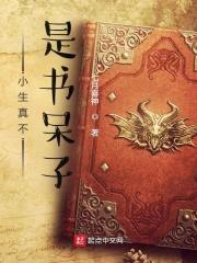 小生真不是书呆子封面