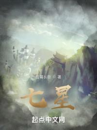 七星封面