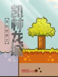 我的世界之凯林龙城封面