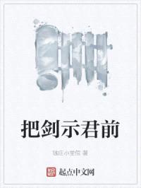 把剑示君前封面