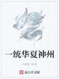 一统华夏神州封面