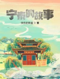 宁泰的故事封面