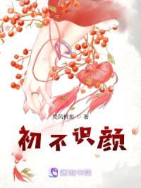 初不识颜封面