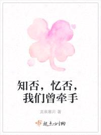 知否，忆否，我们曾牵手封面