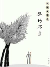 吞噬星空之孤竹不立封面