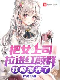 把女上司拉进红颜群，我被曝光了封面