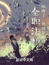 全职法师：我真不是带恶人啊！封面