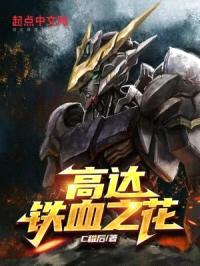 高达铁血之花封面