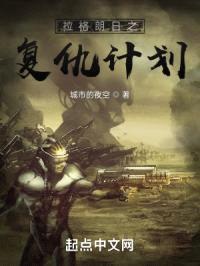 拉格朗日之复仇计划封面