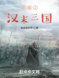 华夏之汉末三国封面