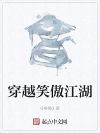 穿越笑傲江湖封面